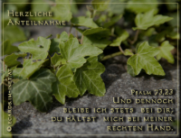 Trauer