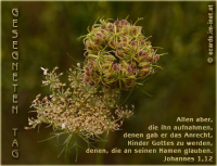 Herbstgruß