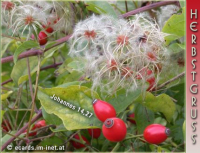 Herbstgruß
