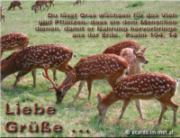 Bibelverse > gemischt