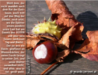 Herbstgruß