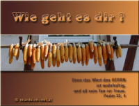 Herbstgruß