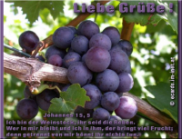 Liebe Grüße!
Johannes 15,5
Ich bin der Weinstock, ihr seid die Reben. Wer in mir bleibt und ich in ihm, der bringt viel Frucht; denn getrennt von mir könnt ihr nichts tun.

