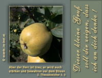 Verschiedene Grüße
