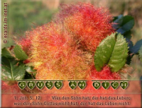 Verschiedene Grüße