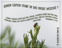 Neue Woche