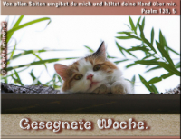 Neue Woche