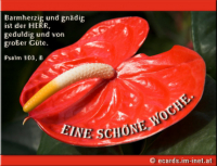 Neue Woche