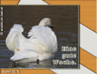 Neue Woche