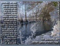 Wintergruß