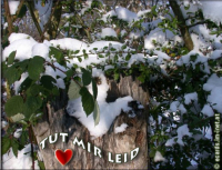 Wintergruß