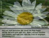 Trauer