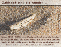 Bibelverse > gemischt
