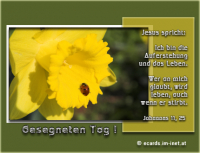 Frühlingsgruß