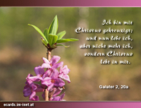 Bibelverse > Neues Leben..